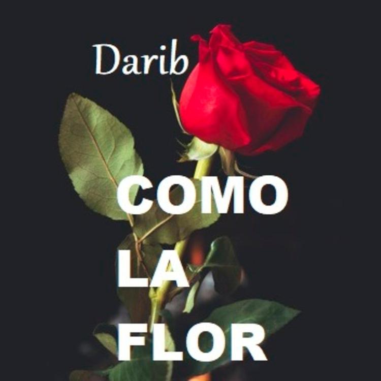Darib's avatar image