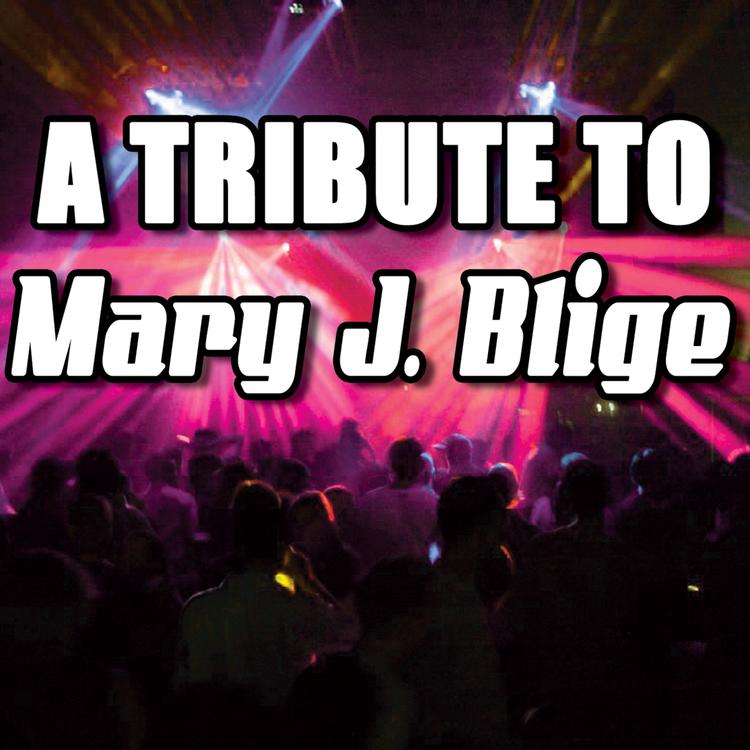 Various Artists - Mary J. Blige Tribute's avatar image