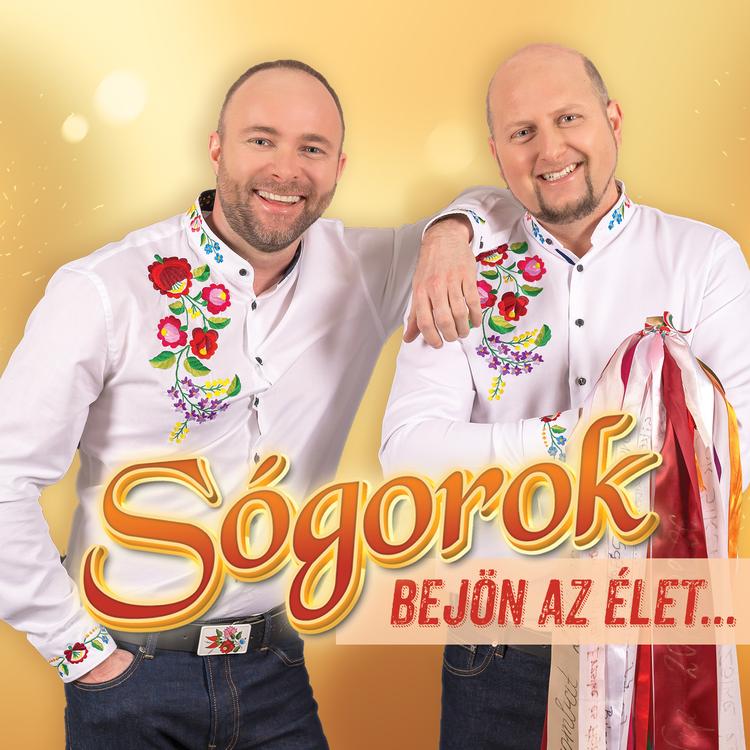 Sógorok's avatar image