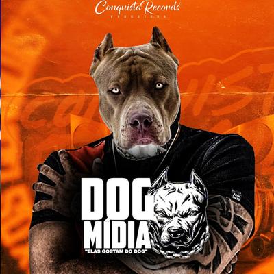 Dog Midia's cover