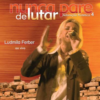 Nunca Pare de Lutar By Ludmila Ferber's cover
