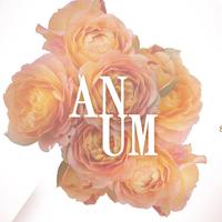 Anum's avatar cover
