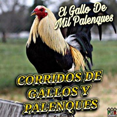 Gallos De Occidente's cover