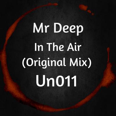 In The Air (Original Mix) By Mr Deep's cover