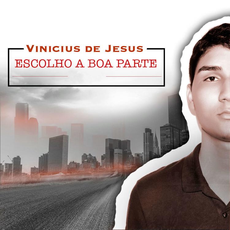 Vinicius de Jesus's avatar image