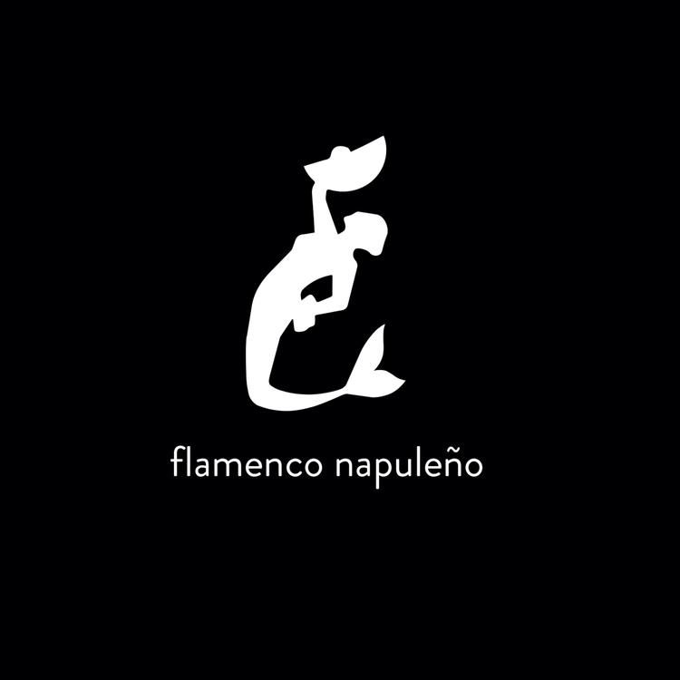 Flamenco Napuleño's avatar image