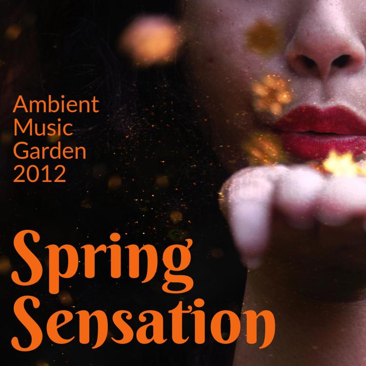 Ambient Music Garden's avatar image