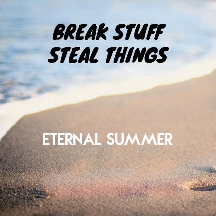 Break Stuff Steal Things's avatar image