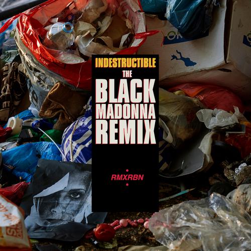 Indestructible (The Black Madonna Remix)'s poster image