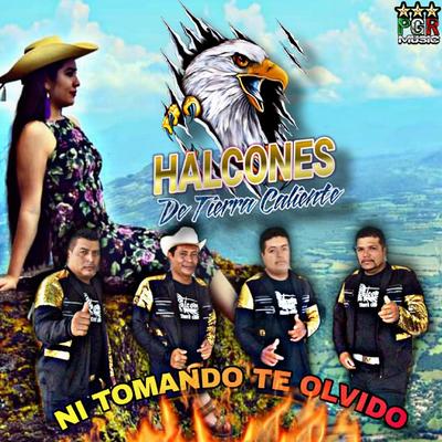 Halcones De Tierra Caliente's cover