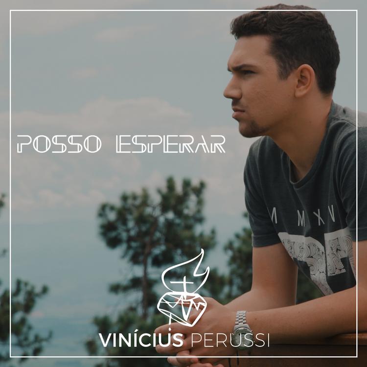 Vinicius Perussi's avatar image