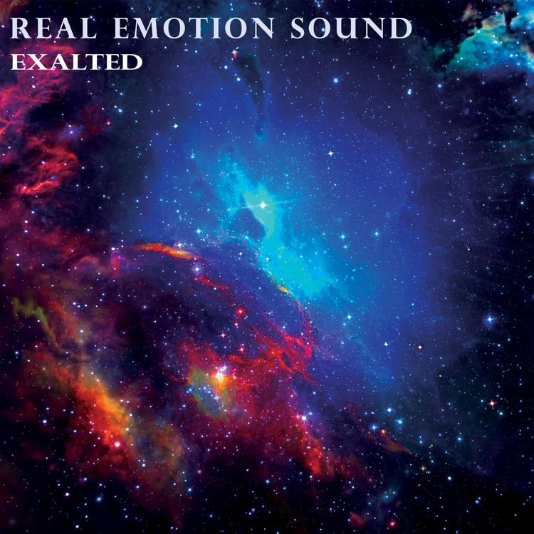Real Emotion Sound's avatar image