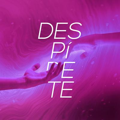Despídete (feat. Sofía Stainer, Daniel Lo Presti, Esteban Nañez, Panasuyo, Ernie James, Javo Muñoz, La Garfield, International Dub Ambassadors, Juglares y Locos & Boats)'s cover