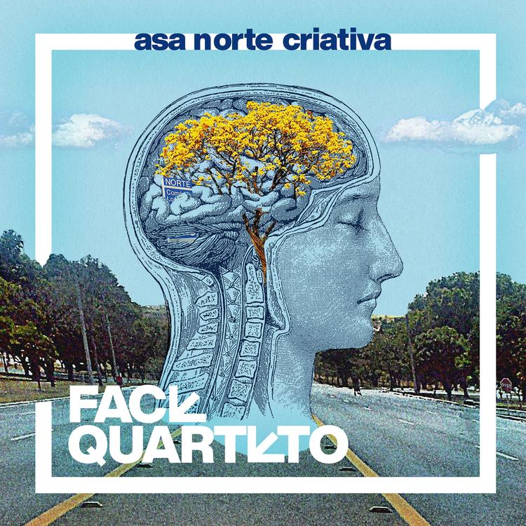 Face Quarteto's avatar image