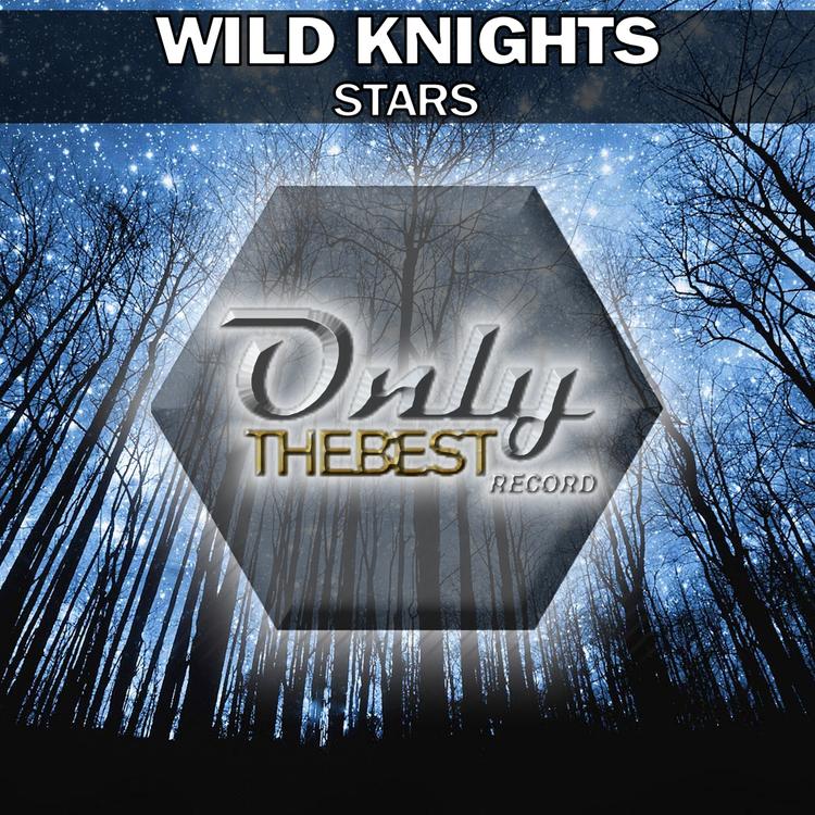 Wild Knights's avatar image