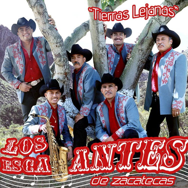 Los Escalantes De Zacatecas's avatar image