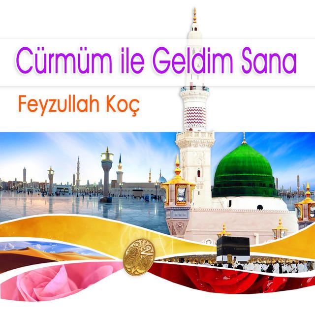 Feyzullah Koç's avatar image