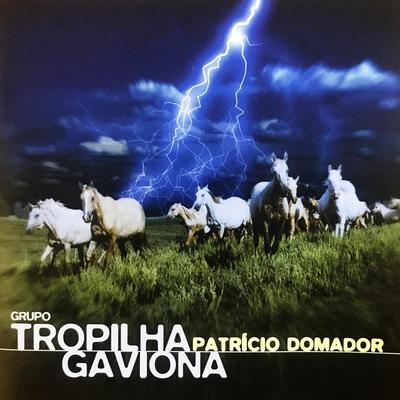 Num Tropel de Cascos By Grupo Tropilha Gaviona's cover