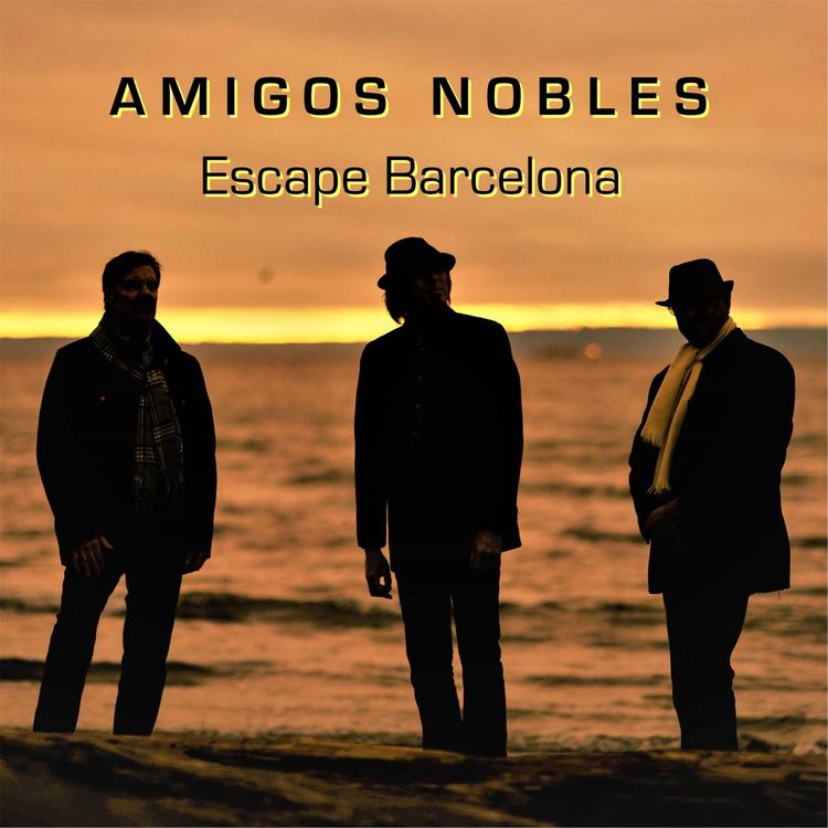 Amigos Nobles's avatar image