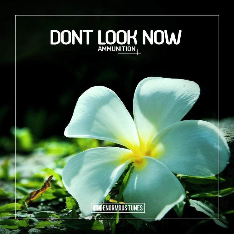 Dont Look Now's avatar image