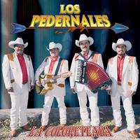 Los Pedernales's avatar cover