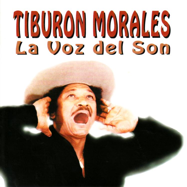 Tiburon Morales's avatar image