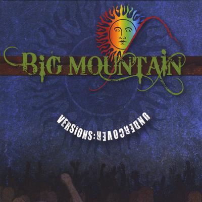 What You Won't Do For Love By Big Mountain's cover