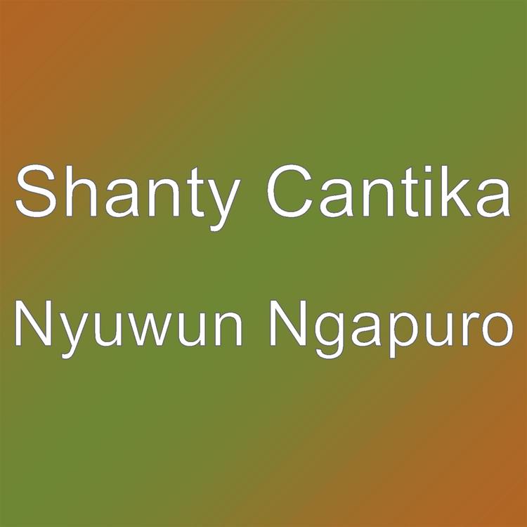 Shanty Cantika's avatar image