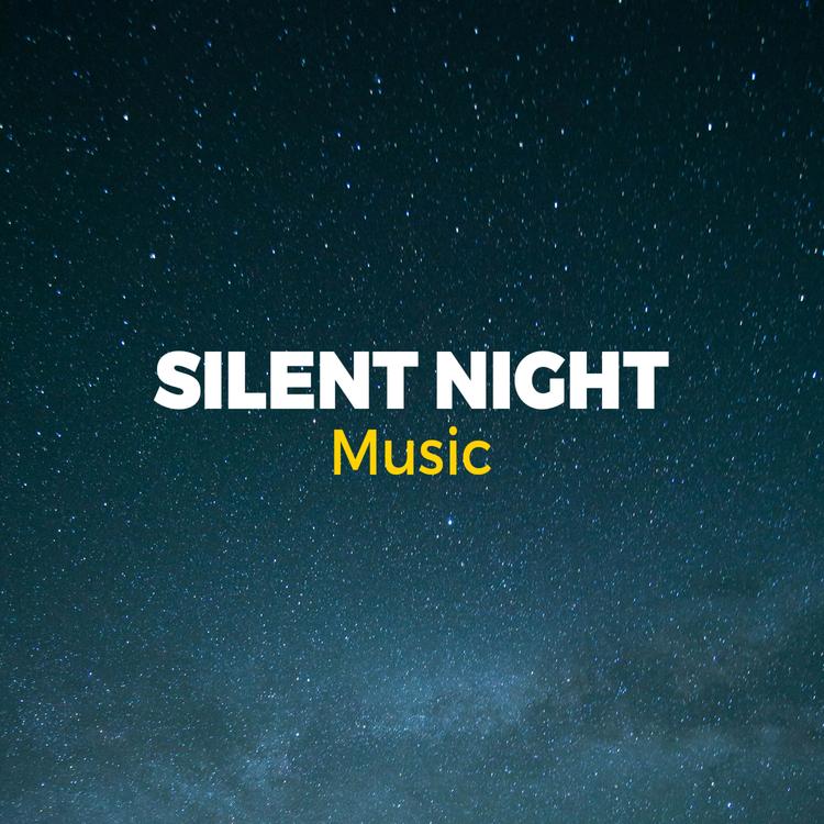 Silent Night Music's avatar image