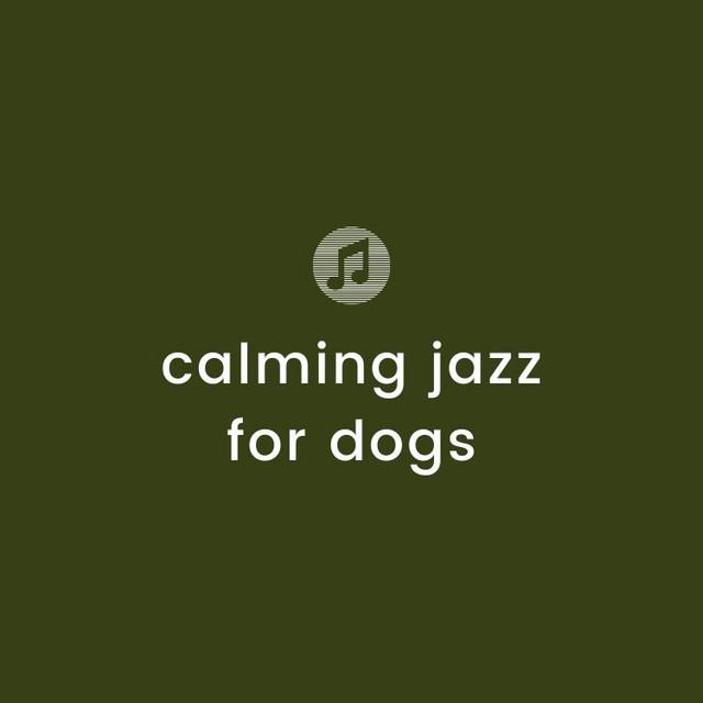 Calming Jazz For Dogs's avatar image