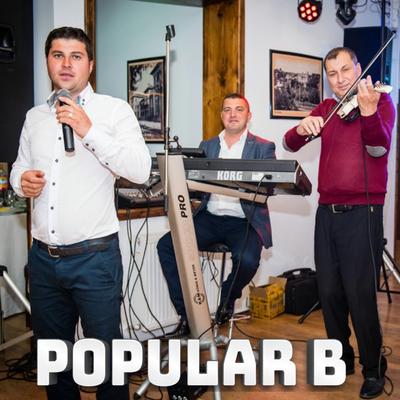 Popular B, Vol.1's cover