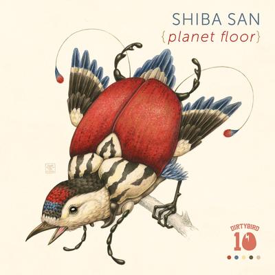 Show Me, Show Me By Shiba San's cover
