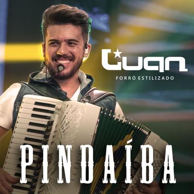 Pindaíba (Ao Vivo) By Luan Estilizado's cover