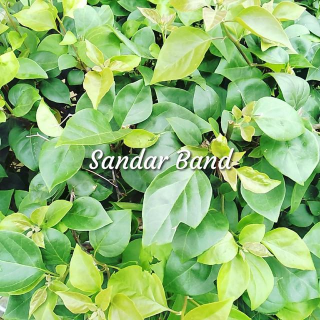 Sandar Band's avatar image