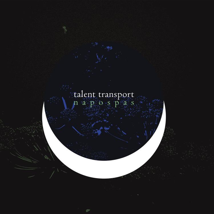 Talent Transport's avatar image