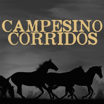 Campesino Corridos's cover