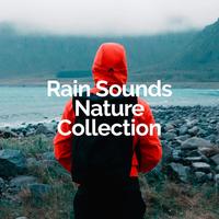 Rain Sounds Nature Collection's avatar cover