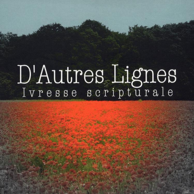 D'Autres Lignes's avatar image