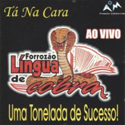 Forrozão Língua de Cobra's cover