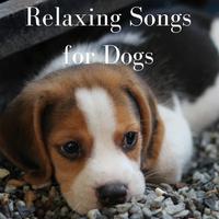 Dog Songs's avatar cover