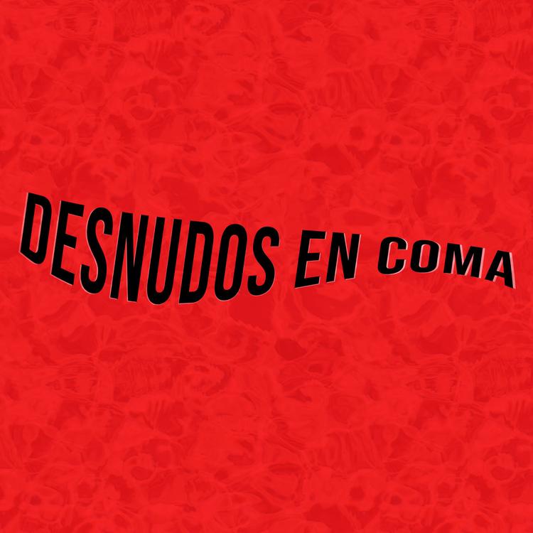 Desnudos En Coma's avatar image