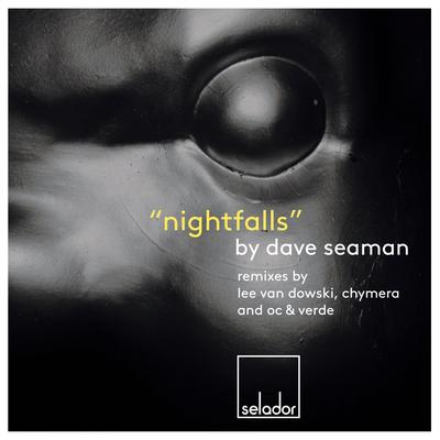 Nightfalls (Lee Van Dowski Zero Dark Forty Remix) By Dave Seaman's cover