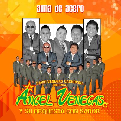 Alma de Acero (David Venegas Cachorro Presenta Ángel Venegas y Su Orquesta Con Sabor)'s cover