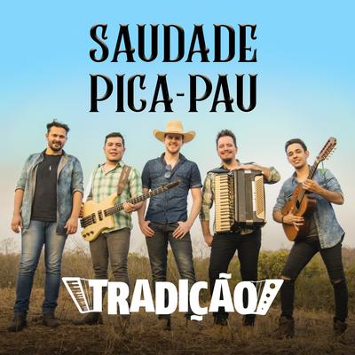 Saudade Pica-Pau By Grupo Tradição's cover