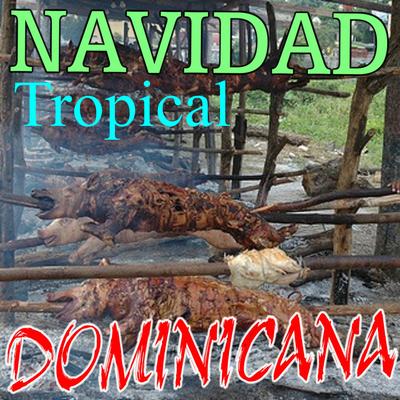 Navidad Tropical Dominicana 2012's cover