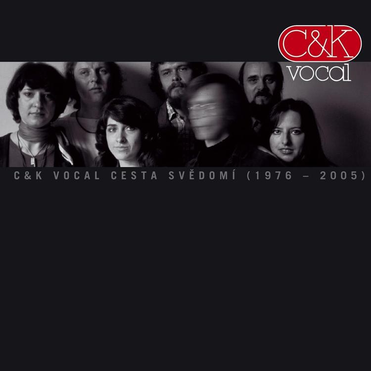 C&K Vocal's avatar image