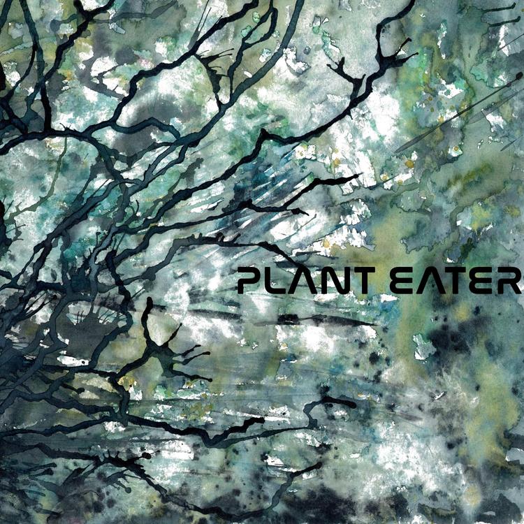 Plant Eater's avatar image