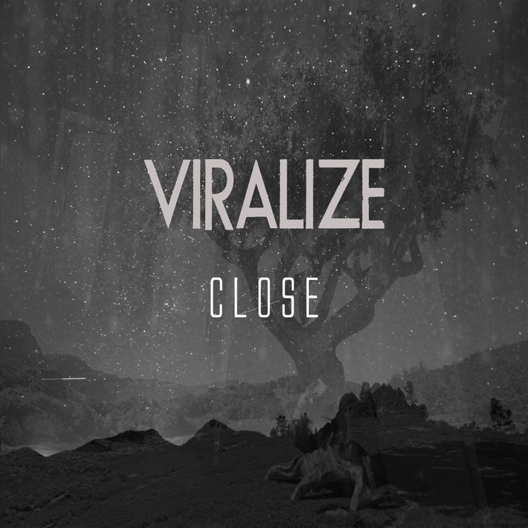 Viralize's avatar image