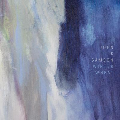Postdoc Blues By John K. Samson's cover