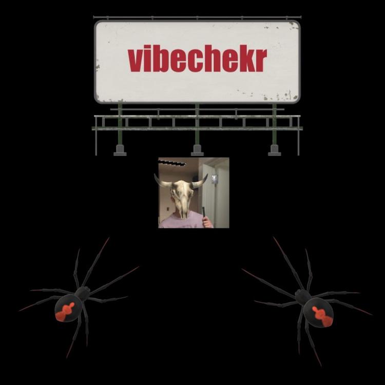 Vibechekr's avatar image